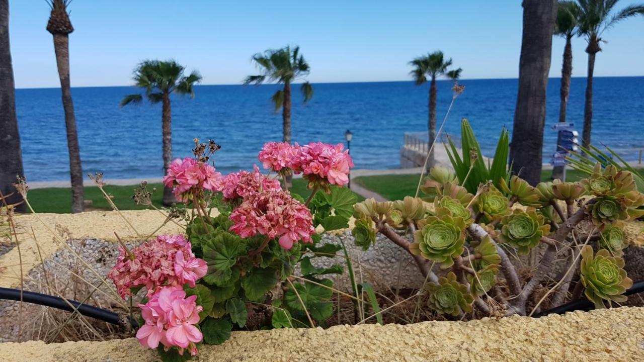 Magnificas Vistas Al Mar Apartamento Oropesa del Mar Exterior foto